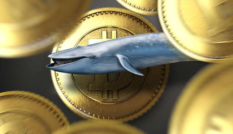 "Mt.Gox Bitcoin кит" Кобаяши больше не будет продавать Bitcoin. По крайне мере в этом году