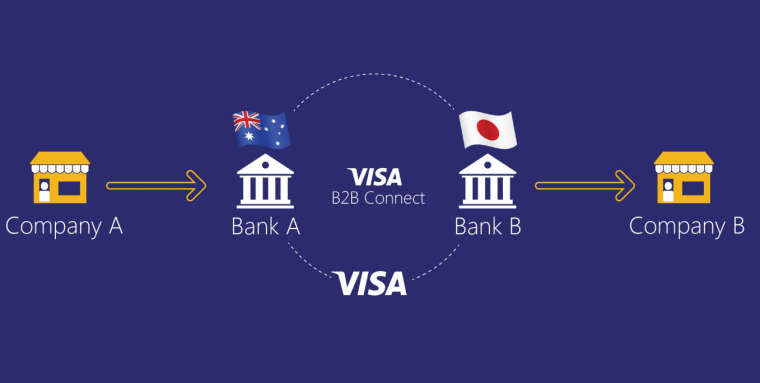 Visa рассказала о деталях платформы Visa B2B Connect на базе blockchain